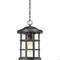 Quoizel Crusade Outdoor Hanging Lantern CSE1910PN - alternate 1
